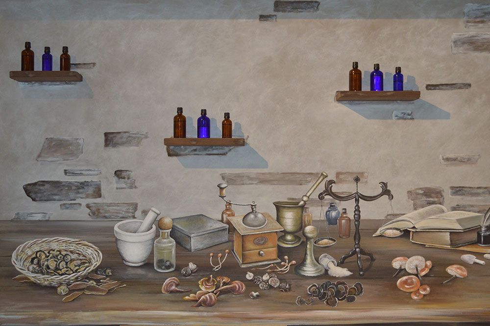 Μουσείο Μανιταριών Μετεώρων